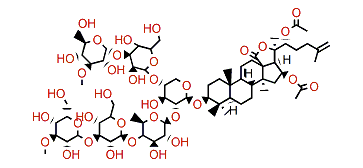 Cladoloside M2